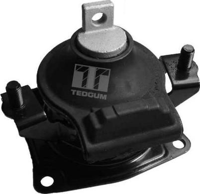 Tedgum 00263076 - Подушка, підвіска двигуна autozip.com.ua