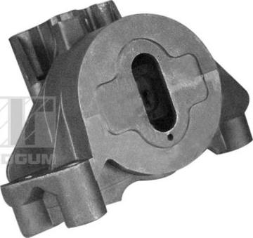 Tedgum 00219484 - Подушка, підвіска двигуна autozip.com.ua