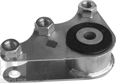 Tedgum 00219338 - Подушка, підвіска двигуна autozip.com.ua