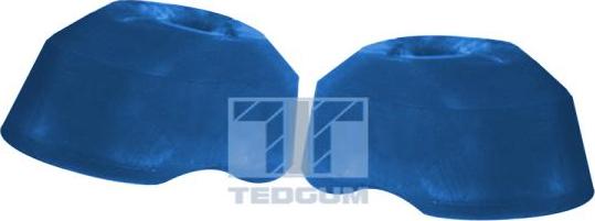 Tedgum 00289205 - Подушка, підвіска двигуна autozip.com.ua