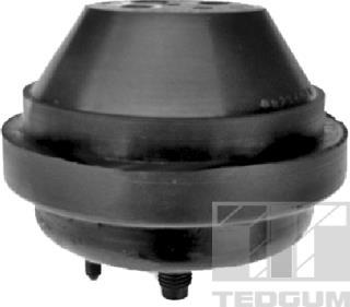 Tedgum 00234090 - Подушка, підвіска двигуна autozip.com.ua