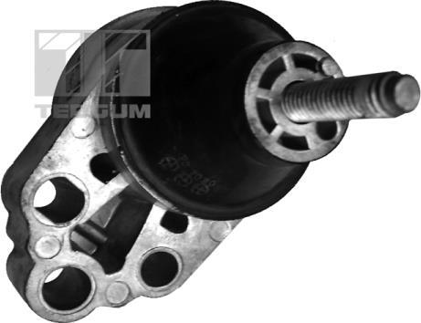 Tedgum 00226305 - Подушка, підвіска двигуна autozip.com.ua