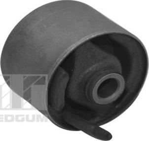 Tedgum 00220525 - Подушка, підвіска двигуна autozip.com.ua