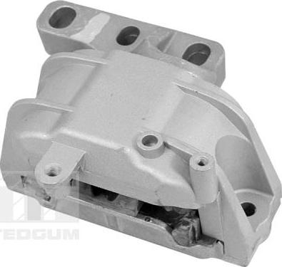Tedgum TED98366 - Подушка, підвіска двигуна autozip.com.ua