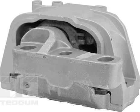 Tedgum TED98366 - Подушка, підвіска двигуна autozip.com.ua