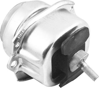 Tedgum TED47690 - Подушка, підвіска двигуна autozip.com.ua