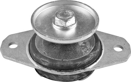 Tedgum TED53713 - Подушка, підвіска двигуна autozip.com.ua