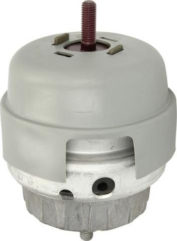 Tedgum TED86930 - Подушка, підвіска двигуна autozip.com.ua