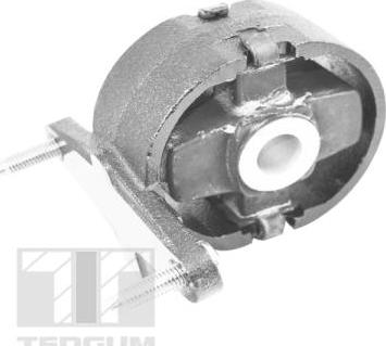 Tedgum TED26769 - Подушка, підвіска двигуна autozip.com.ua