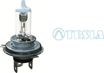 TESLA B50402 - Лампа розжарювання, фара дальнього світла autozip.com.ua