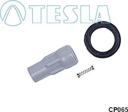 TESLA CP065 - Вилка, свічка запалювання autozip.com.ua