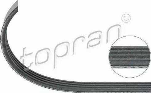 Topran 300 904 - Поліклиновий ремінь autozip.com.ua