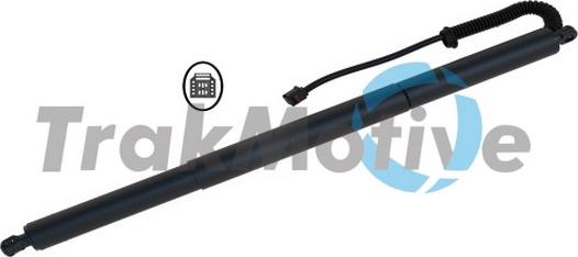 TrakMotive 60-0029 - Електромотор, задні двері autozip.com.ua