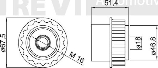 Trevi Automotive AP1157 - Ремінний шків, генератор autozip.com.ua