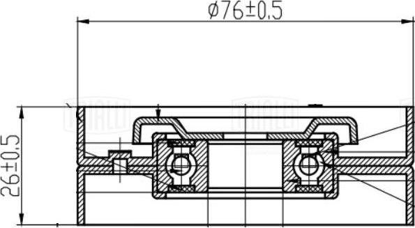 Trialli CM 5409 - Натягувач ременя, клинові зуб. autozip.com.ua