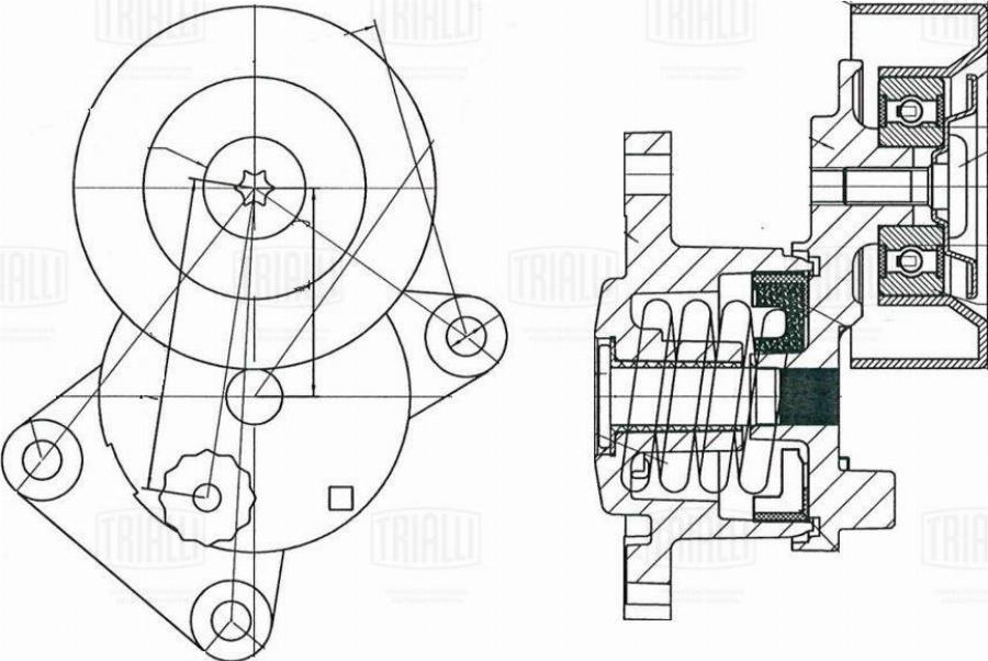 Trialli CM 5674 - Натягувач ременя, поліклиновий ремінь autozip.com.ua