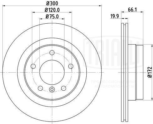 Trialli DF 261005 - Гальмівний диск autozip.com.ua