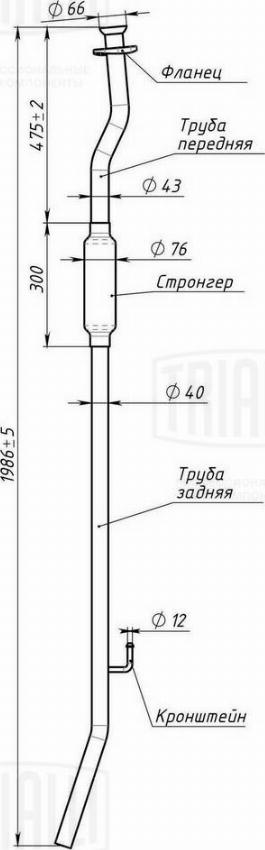 Trialli EAM 0907 - Предглушітель вихлопних газів autozip.com.ua
