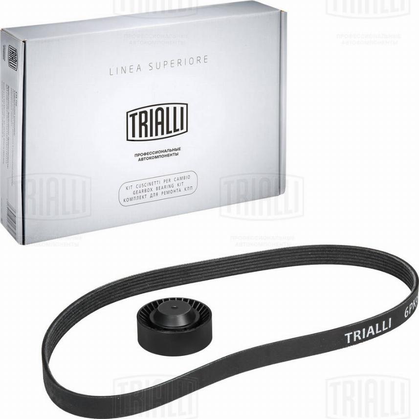 Trialli GD 691 - Поликлиновий ремінний комплект autozip.com.ua