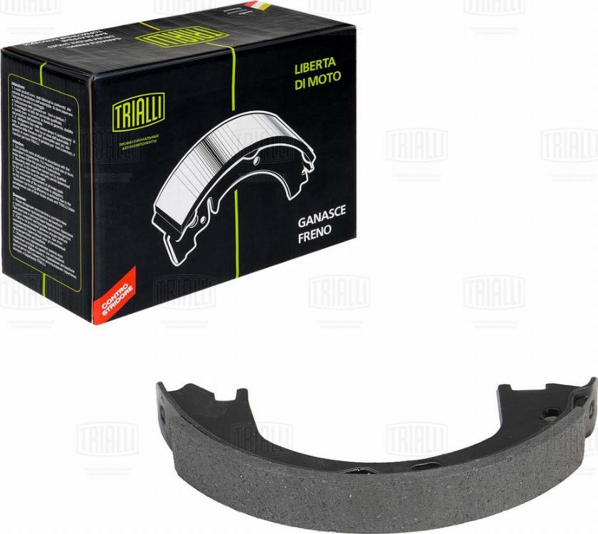 Trialli GF 4631 - Комплект гальм, ручник, парковка autozip.com.ua