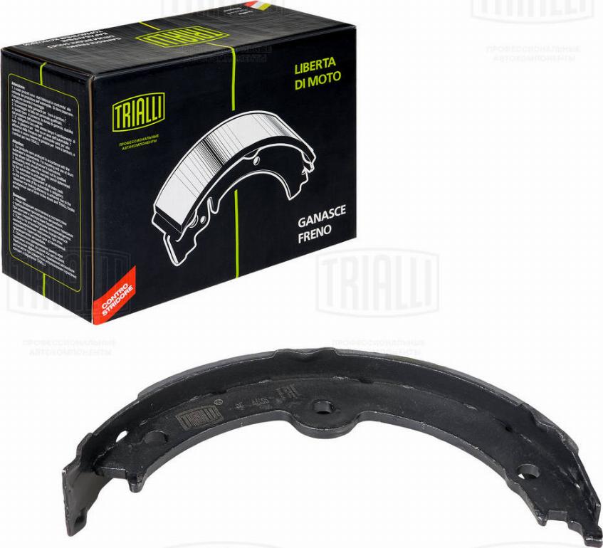 Trialli GF 4638 - Комплект гальм, ручник, парковка autozip.com.ua