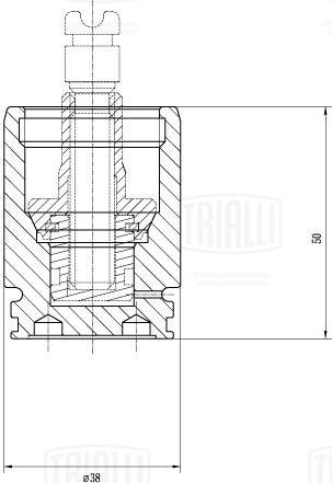 Trialli RCF 032195P - Поршень, корпус скоби гальма autozip.com.ua