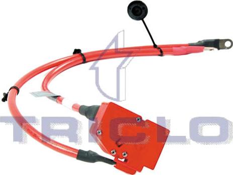 Triclo 972482 - Полюсними виводами акумуляторної батареї autozip.com.ua