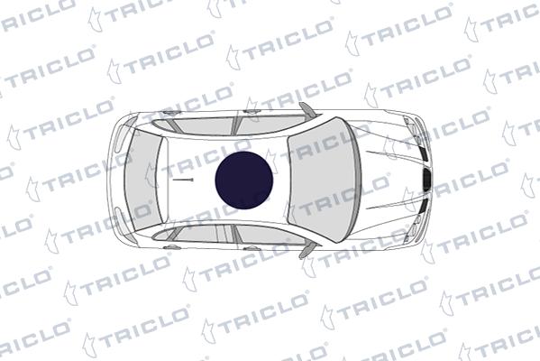 Triclo 141014 - Вимикач, стеклолод'емнік autozip.com.ua