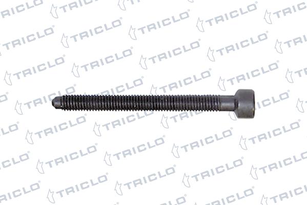 Triclo 161843 - Болт, кріплення форсунки autozip.com.ua