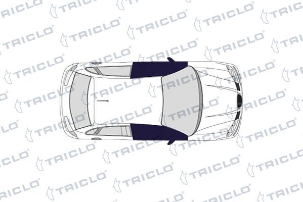 Triclo 145152 - Вимикач, стеклолод'емнік autozip.com.ua