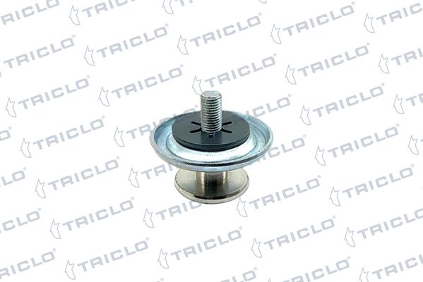 Triclo 135098 - Управління, кнопка центрального замка autozip.com.ua