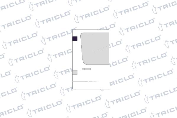 Triclo 138129 - Управління, кнопка центрального замка autozip.com.ua