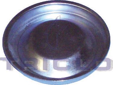 Triclo 328700 - Кришка, підшипник маточини колеса autozip.com.ua