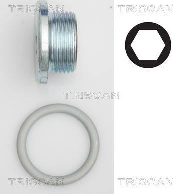 Triscan 9500 2904 - Різьбова пробка, масляний піддон autozip.com.ua
