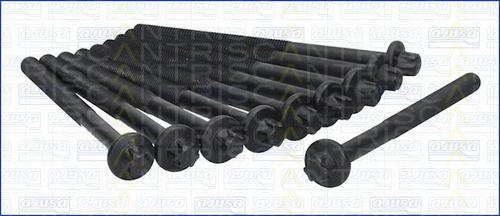 Triscan 98-6011 - Комплект болтів головки циліндрів autozip.com.ua