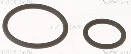 Triscan 596-1001 - Комплект прокладок, форсунка autozip.com.ua
