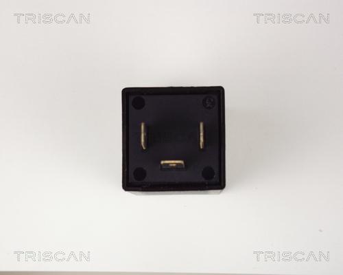 Triscan 1010 EP31 - Переривник покажчиків повороту autozip.com.ua