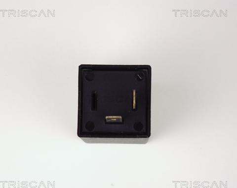 Triscan 1010 EP20 - Переривник покажчиків повороту autozip.com.ua
