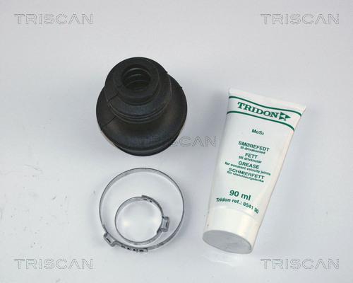 Triscan 8540 16705 - Пильник, приводний вал autozip.com.ua