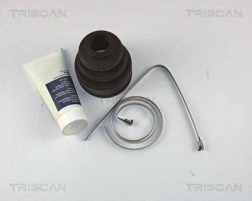 Triscan 8540 13904 - Пильник, приводний вал autozip.com.ua