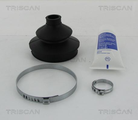 Triscan 8540 29843 - Пильник, приводний вал autozip.com.ua