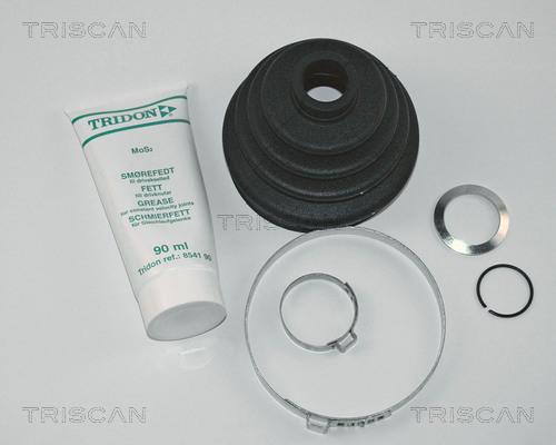 Triscan 8540 29802 - Пильник, приводний вал autozip.com.ua