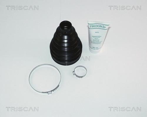 Triscan 8540 25811 - Пильник, приводний вал autozip.com.ua