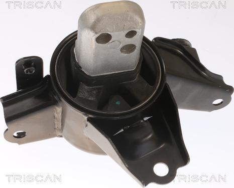 Triscan 8505 43107 - Подушка, підвіска двигуна autozip.com.ua