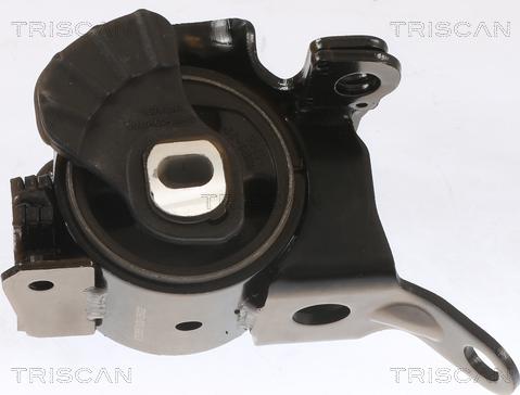 Triscan 8505 50100 - Подушка, підвіска двигуна autozip.com.ua