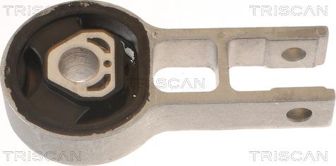 Triscan 8505 15107 - Подушка, підвіска двигуна autozip.com.ua