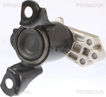 Triscan 8505 16102 - Подушка, підвіска двигуна autozip.com.ua