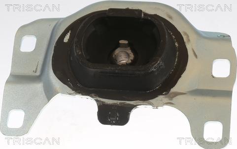 Triscan 8505 16115 - Подушка, підвіска двигуна autozip.com.ua
