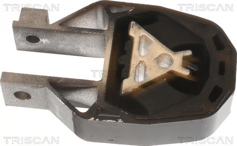 Triscan 8505 16118 - Подушка, підвіска двигуна autozip.com.ua