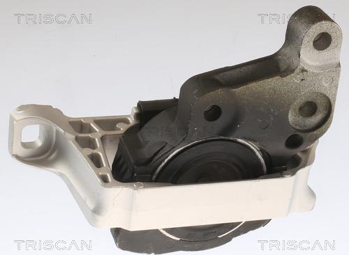 Triscan 8505 16113 - Подушка, підвіска двигуна autozip.com.ua